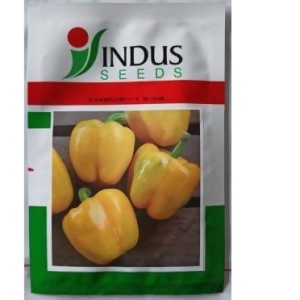 Indus 1504 Yellow Capsicum Seeds | F1 Hybrid | Buy Online at Best Price
