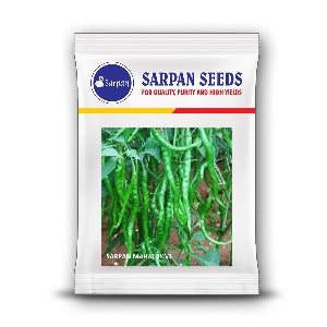 Sarpan Mahalaxmi Chilli Seeds | F1 Hybrid | Buy Online at Best Price