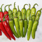 VNR AG Long Ash Guard Seeds | F1 Hybrid | Buy Online at Best Price