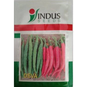 Indus Deva Chilli Seeds | F1 Hybrid | Buy Online at Best Price