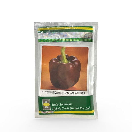 Indam Chocolate Wonder Capsicum Seeds - Indo American | F1 Hybrid | Buy Online at Best Price