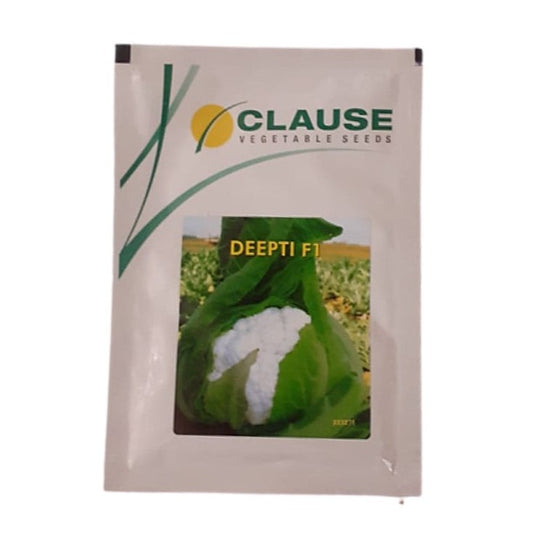 Deepti Cauliflower Seeds | Buy Online At Best Price