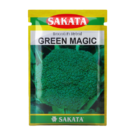 Green Magic Broccoli Seeds - Sakata | F1 Hybrid | Buy Online at Best Price
