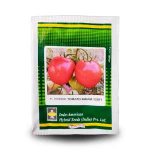 Indam - 13201 Tomato Seeds - Indo American | F1 Hybrid | Buy Online at Best Price
