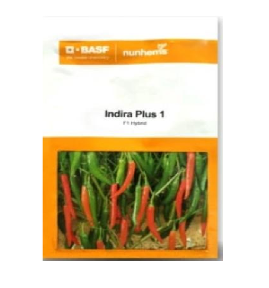 Indira Plus 1 Chilli Seeds - Nunhems | F1 Hybrid | Buy Online at Best Price