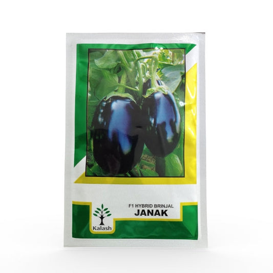 Janak Brinjal Seeds - Kalash | F1 Hybrid | Buy Online at Best Price