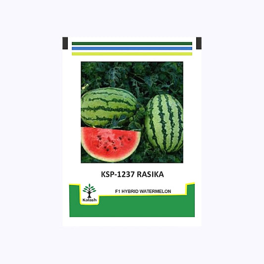 KSP-1237 Rasika Watermelon Seeds - Kalash | F1 Hybrid | Buy Online at Best Price