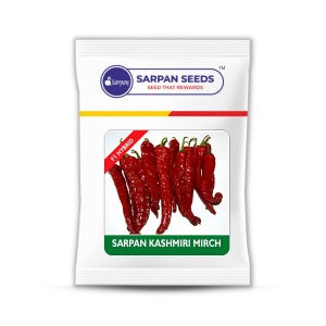 Sarpan Kashmiri Mirch Seeds | F1 Hybrid | Buy Online at Best Price
