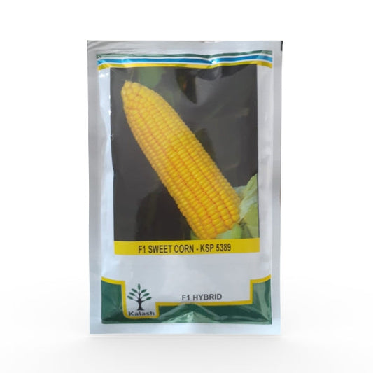 KSP 5389 Sweet corn Seeds - Kalash | F1 Hybrid | Buy Online at Best Price