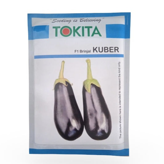 Kuber Brinjal Seeds - Tokita | F1 Hybrid | Buy Online at Best Price