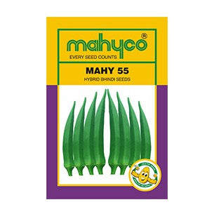 MAHY 55 Bhindi Seeds - Mahyco | F1 Hybrid | Buy Online at Best Price