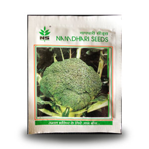 NS 1253 Broccoli Seeds - Namdhari | F1 Hybrid | Buy Online at Best Price