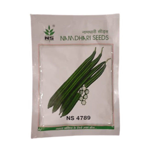 NS 4789 Ridge Gourd Seeds - Namdhari | F1 Hybrid | Buy Online at Best Price