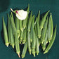 Indam 9821 Bhendi (Okra) Seeds - Indo American | F1 Hybrid | Buy Online at Best Price