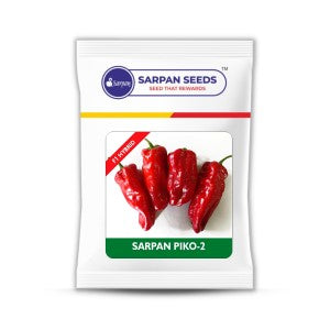 Sarpan Piko - 2 Chilli Seeds | F1 Hybrid | Buy Online at Best Price