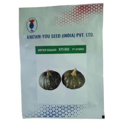 KYI - 850 Winter Squash Seeds - Known You | F1 Hybrid | Buy Online at Best Price
