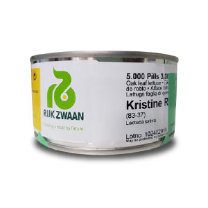 Kristine RZ Oak Lettuce Seeds - Rijk Zwaan | F1 Hybrid | Buy Online at Best Price