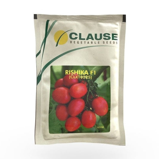 Rishika Tomato Seeds | Buy Online At Best Price