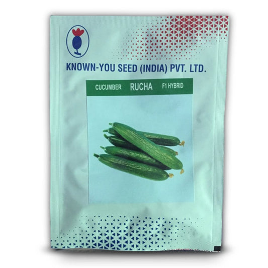 Rucha Cucumber Seeds -Known You | F1 Hybrid | Buy Online at Best Price
