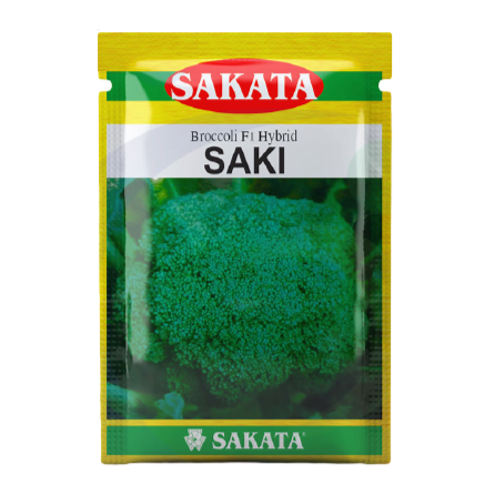 Saki Broccoli Seeds - Sakata | F1 Hybrid | Buy Online at Best Price