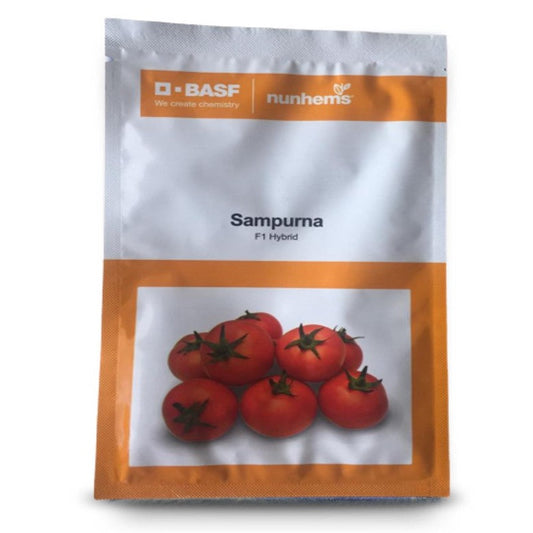 Sampurna Tomato Seeds - Nunhems | F1 Hybrid | Buy Online at Best Price