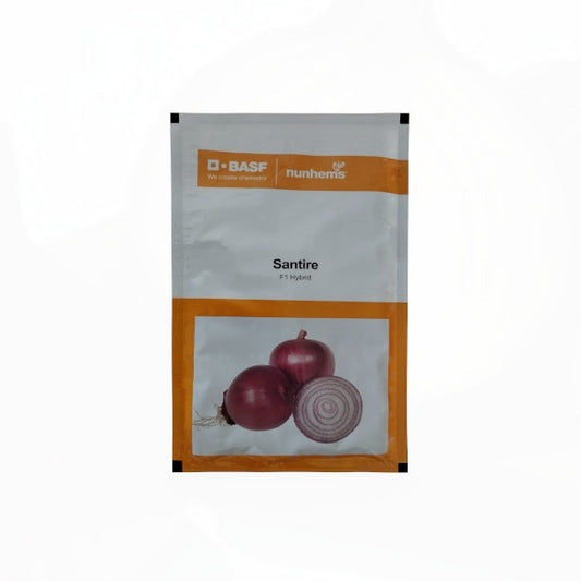 Santire Onion Seeds - Nunhems | F1 Hybrid | Buy Online at Best Price