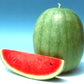 Saraswathi Watermelon Seeds - Known You | F1 Hybrid | Buy Online at Best Price