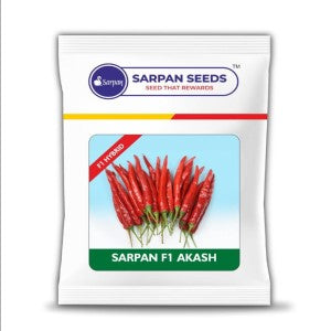 Sarpan Akash Chilli Seeds | F1 Hybrid | Buy Online at Best Price