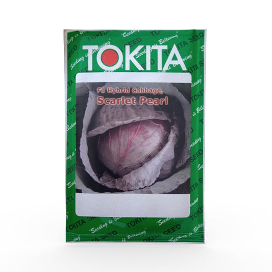Scarlet Pearl Cabbage Seeds - Tokita | F1 Hybrid | Buy Online at Best Price