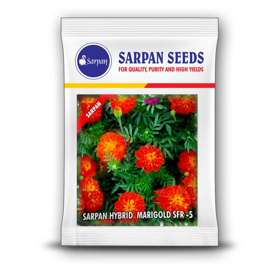 Sarpan SFR-5 French Marigold Seeds | F1 Hybrid | Buy Online at Best Price