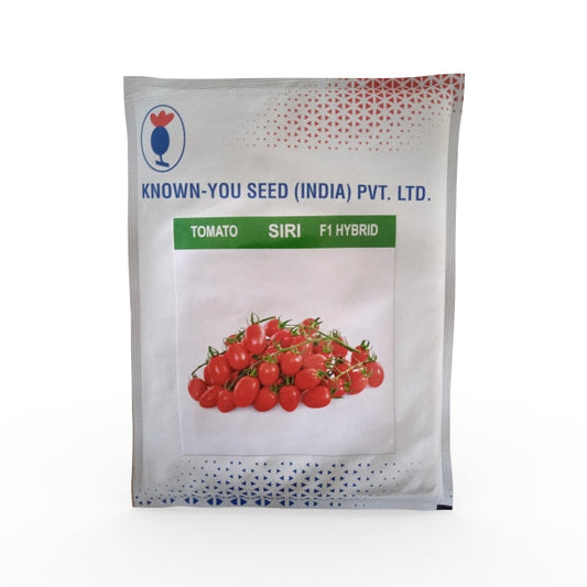 Siri Cherry Tomato Seeds - Known You | F1 Hybrid | Buy Online at Best Price