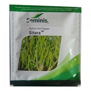 Sitara Chilli Seeds - Seminis | F1 Hybrid | Buy Online at Best Price