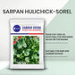 Sarpan Hulichick Sorel Seeds | F1 Hybrid | Buy Online at Best Price