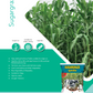 Sugargraze Grass Seeds -Advanta | F1 Hybrid | Buy Online at Best Price