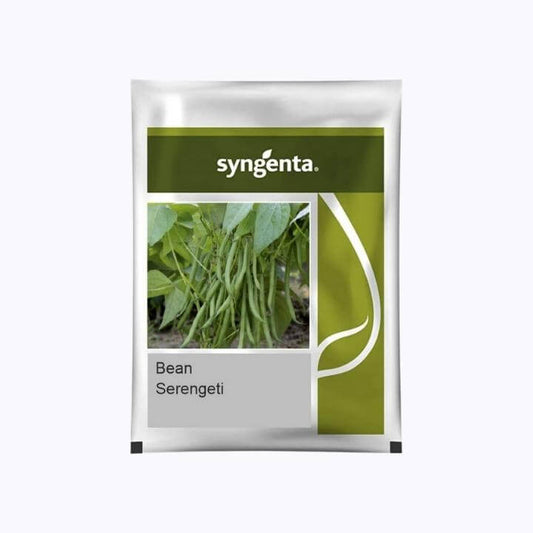 Bean Serengeti Seeds - Syngenta | F1 Hybrid | Buy Online at Best Price