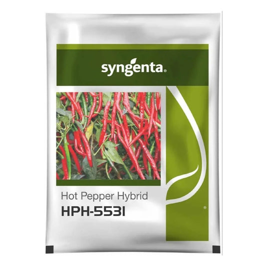 HPH-5531 Chilli Seeds  | Buy Online At Best Price