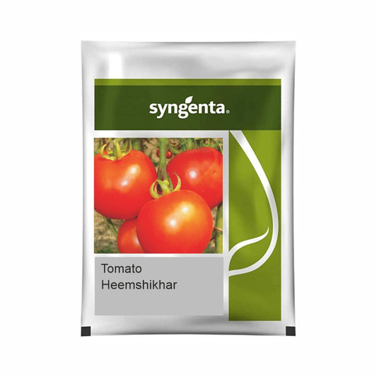 Heemshikhar Tomato Seeds - Syngenta | F1 Hybrid | Buy Online at Best Price