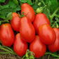 JK Utkristha Tomato Seeds | F1 Hybrid | Buy Online at Best Price
