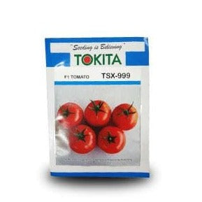 TSX - 999 Tomato Seeds - Tokita | F1 Hybrid | Buy Online at Best Price