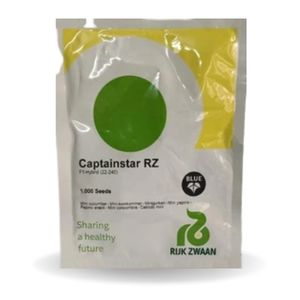 Captainstar RZ Mini Cucumber Seeds - Rijk Zwaan | F1 Hybrid | Buy Online at Best Price