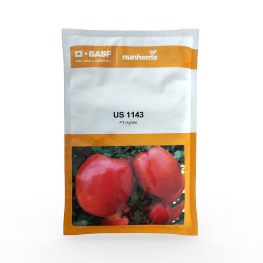 US 1143 Tomato Seeds - Nunhems | F1 Hybrid | Buy Online at Best Price