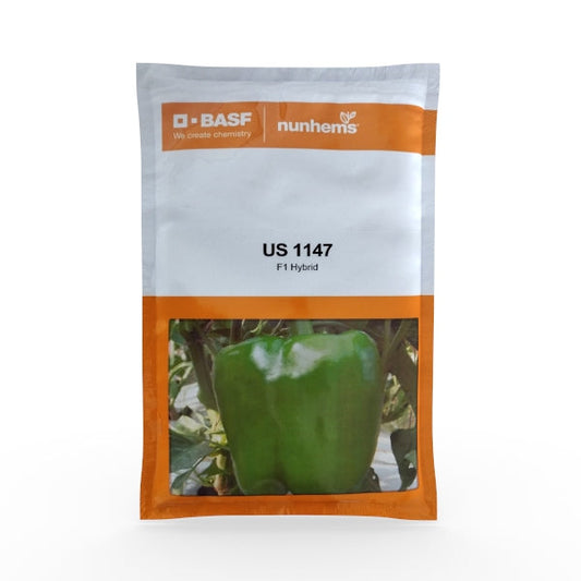 US 1147 Capsicum Seeds - Nunhems | F1 Hybrid | Buy Online at Best Price