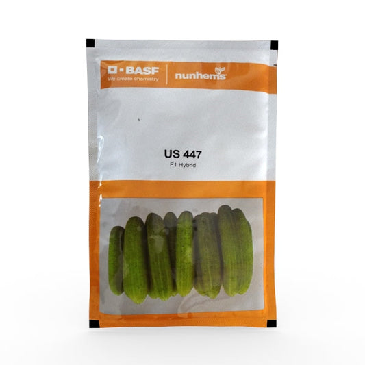 US 447 Cucumber Seeds - Nunhems | F1 Hybrid | Buy Online at Best Price