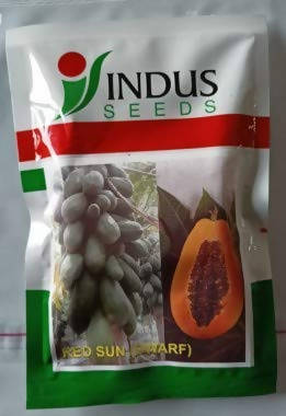 Indus Red Sun Dwarf Papaya Seeds | F1 Hybrid | Buy Online at Best Price