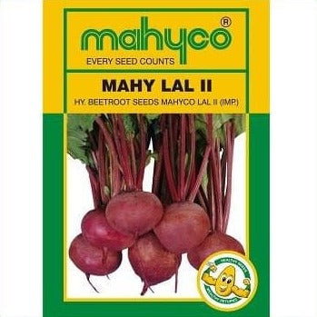 Mahy Lal-II Beetroot Seeds - Mahyco | F1 Hybrid | Buy Online at Best Price