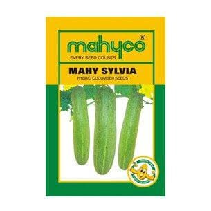 MAHY SYLVIA Cucumber Seeds - Mahyco | F1 Hybrid | Buy Online at Best Price
