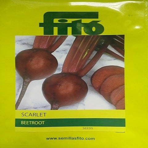 Scarlet Beetroot Seeds - Fito | F1 Hybrid | Buy Online at Best Price