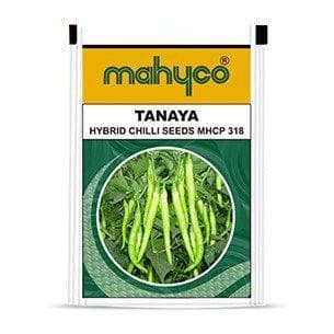 Tanaya Chilli Seeds - Mahyco | F1 Hybrid | Buy Online at Best Price