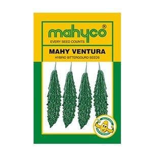 Ventura Bitter Gourd Seeds - Mahyco | F1 Hybrid | Buy Online at Best Price