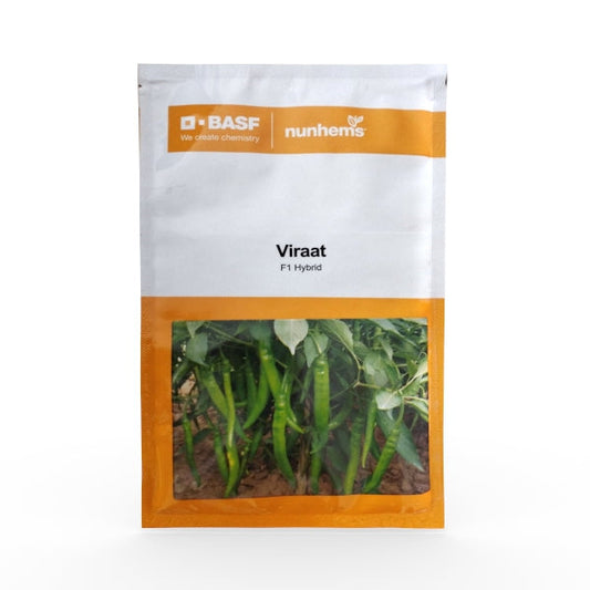 Viraat Chilli Seeds - Nunhems | F1 Hybrid | Buy Online at Best Price